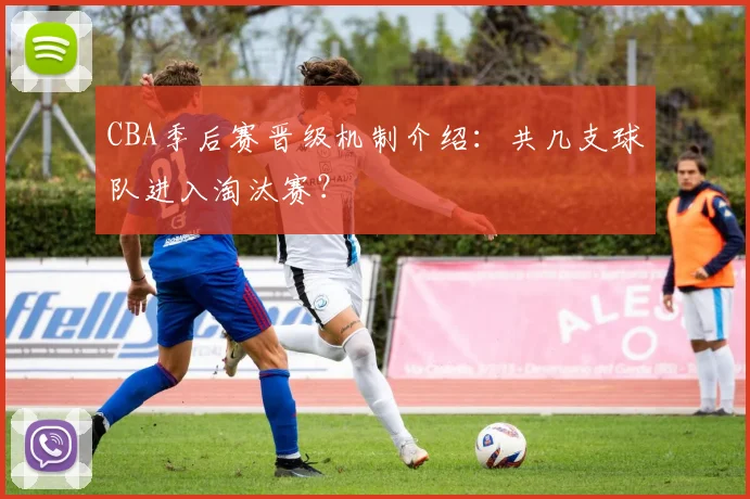 CBA季后赛晋级机制介绍：共几支球队进入淘汰赛？