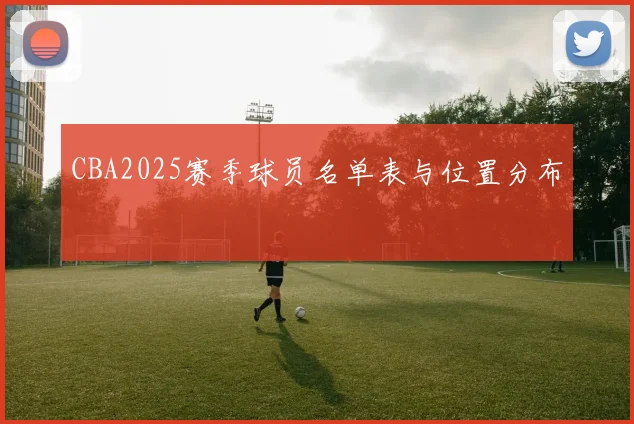 CBA2025赛季球员名单表与位置分布