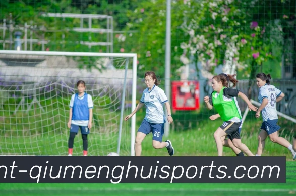 球盟会服务体系